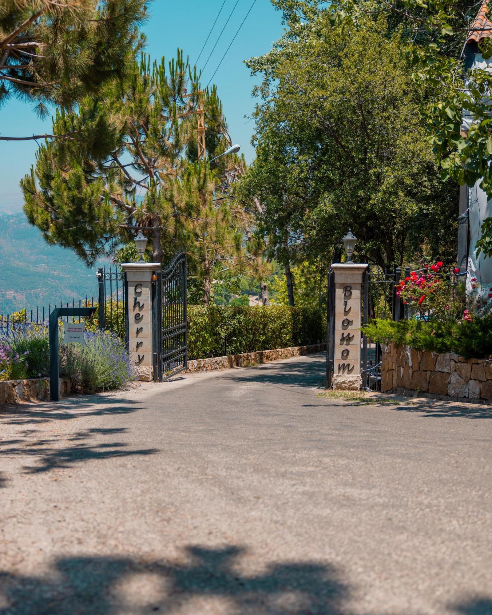 Cherry Blossom Boutique Hotel Bhamdoun Bagian luar foto
